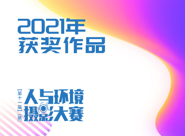 瀏覽入口