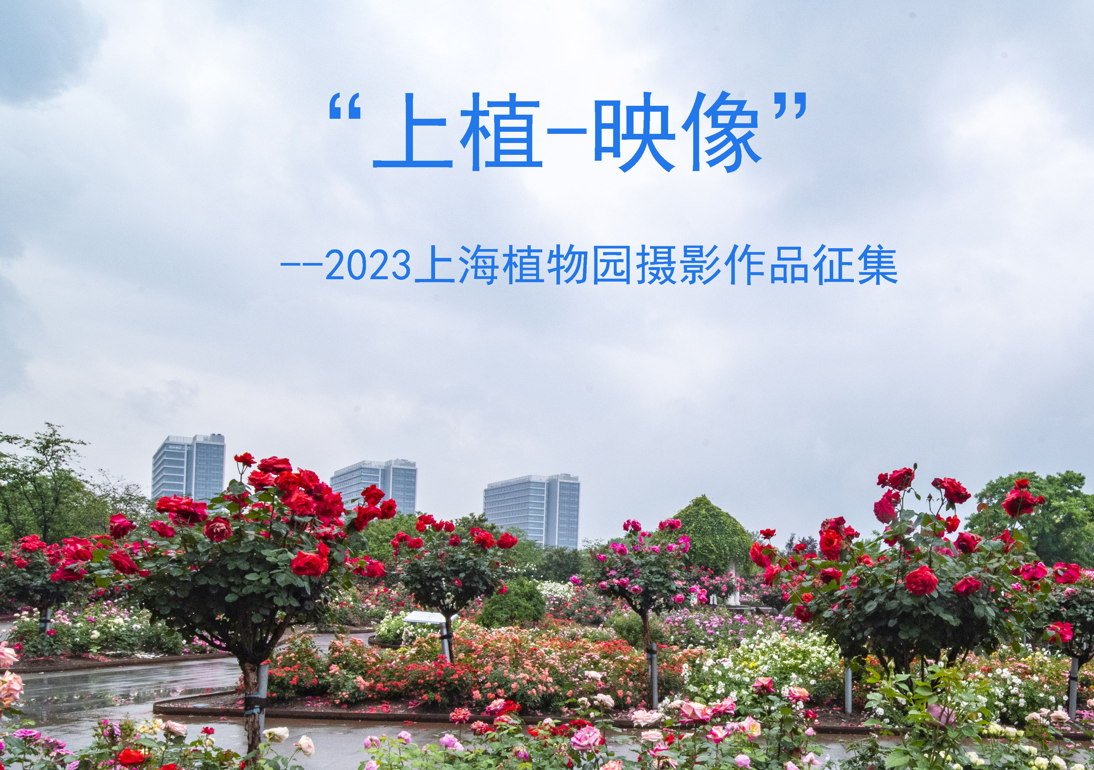 征稿